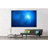 barracuda fish and scuba divers №842 Ready to Hang Canvas Print