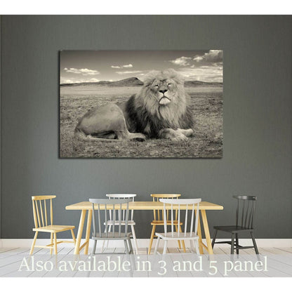 beautiful african lion, Wonderful image of african wildlife №2365 Ready to Hang Canvas Print - Zellart Canvas Prints ALL_Products, Lion, s-2365