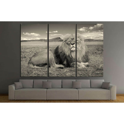beautiful african lion, Wonderful image of african wildlife №2365 Ready to Hang Canvas Print - Zellart Canvas Prints ALL_Products, Lion, s-2365