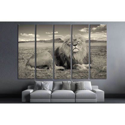 beautiful african lion, Wonderful image of african wildlife №2365 Ready to Hang Canvas Print - Zellart Canvas Prints ALL_Products, Lion, s-2365