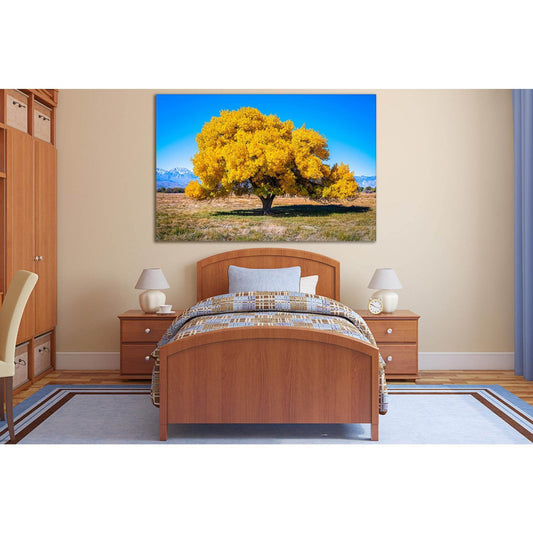 Beautiful Autumn Tree In The Field №SL1077 Ready to Hang Canvas Print - Zellart Canvas Prints 0new, ALL_Products, Trees Wall Art