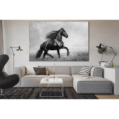 Beautiful Black Horse Black and White №SL858 Ready to Hang Canvas Print - Zellart Canvas Prints 0new, ALL_Products, Black & White Wall Art