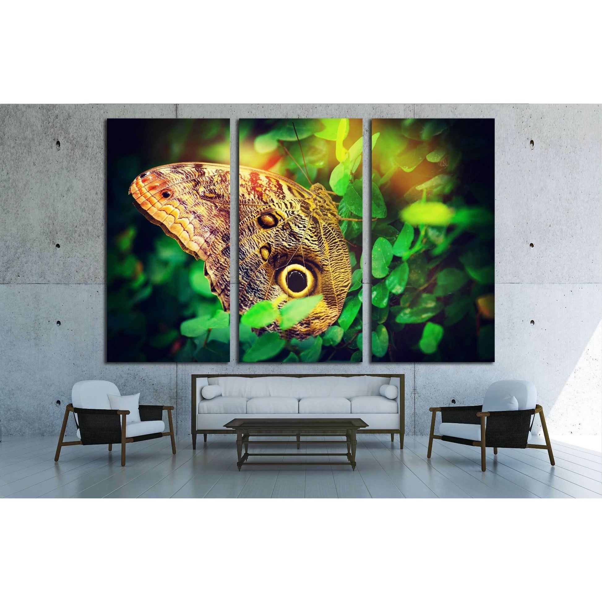 Beautiful butterfly №2798 Ready to Hang Canvas PrintCanvas art arrives ready to hang, with hanging accessories included and no additional framing required. Every canvas print is hand-crafted, made on-demand at our workshop and expertly stretched around 10