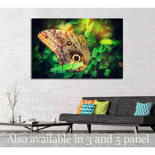 Beautiful butterfly №2798 Ready to Hang Canvas Print - Zellart Canvas Prints ALL_Products, s-2798
