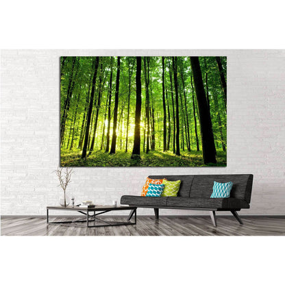 Lively Green Woodland Wall Art for Bright Office SpacesThis canvas print features a sun-drenched forest, offering a lively and refreshing ambiance to any room. Its vibrant greens and sunlit backdrop make it ideal for living rooms or offices looking to add