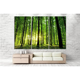 Beautiful green forest №20 Ready to Hang Canvas Print