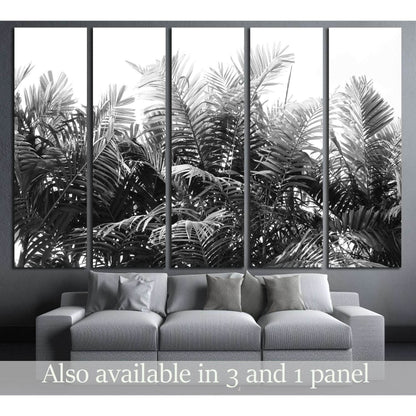 beautiful palms leaf on white background №3273 Ready to Hang Canvas Print - Zellart Canvas Prints ALL_Products, s-3273