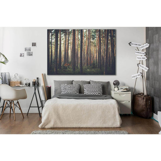Beautiful Pine Forest №SL507 Ready to Hang Canvas Print - Zellart Canvas Prints 0new, ALL_Products, Trees Wall Art