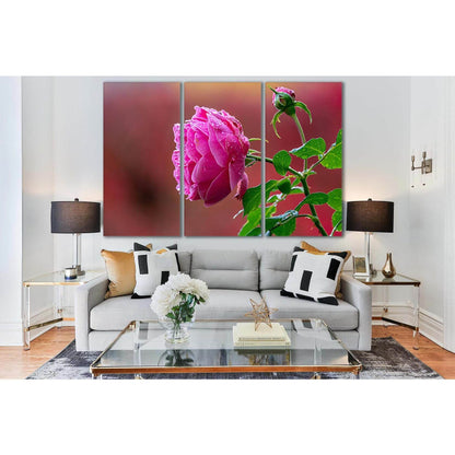 Beautiful Pink Rose Bud №SL729 Ready to Hang Canvas Print - Zellart Canvas Prints 0new, ALL_Products, Floral & Botanical Wall Art