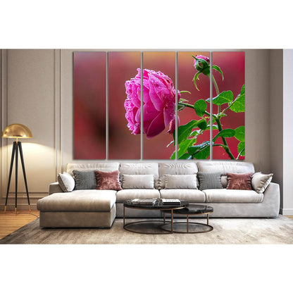 Beautiful Pink Rose Bud №SL729 Ready to Hang Canvas Print - Zellart Canvas Prints 0new, ALL_Products, Floral & Botanical Wall Art