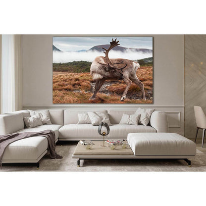 Beautiful Reindeer №SL1031 Ready to Hang Canvas Print - Zellart Canvas Prints 0new, ALL_Products, Animals & Wildlife