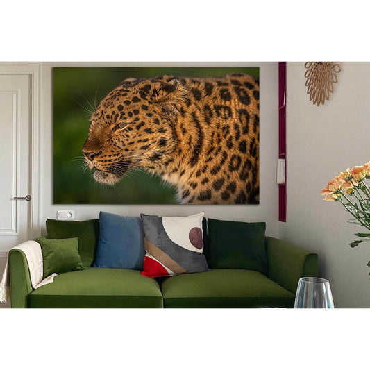 Beautiful Spotted Leopard №SL996 Ready to Hang Canvas Print - Zellart Canvas Prints 0new, ALL_Products, Animals & Wildlife