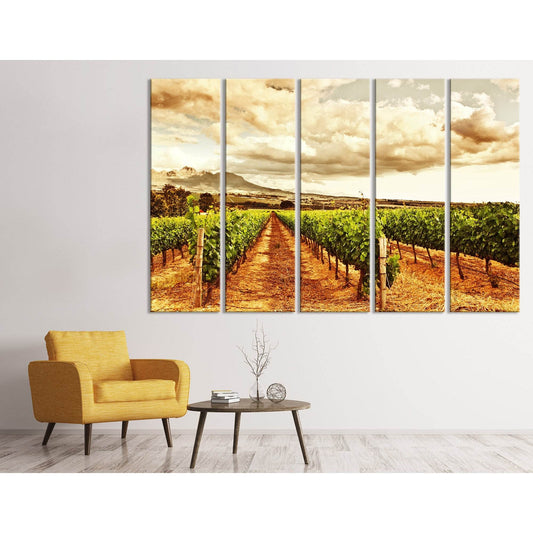 Beautiful Sunset Over Vineyard №04221 Ready to Hang Canvas Print - Zellart Canvas Prints ALL_Products
