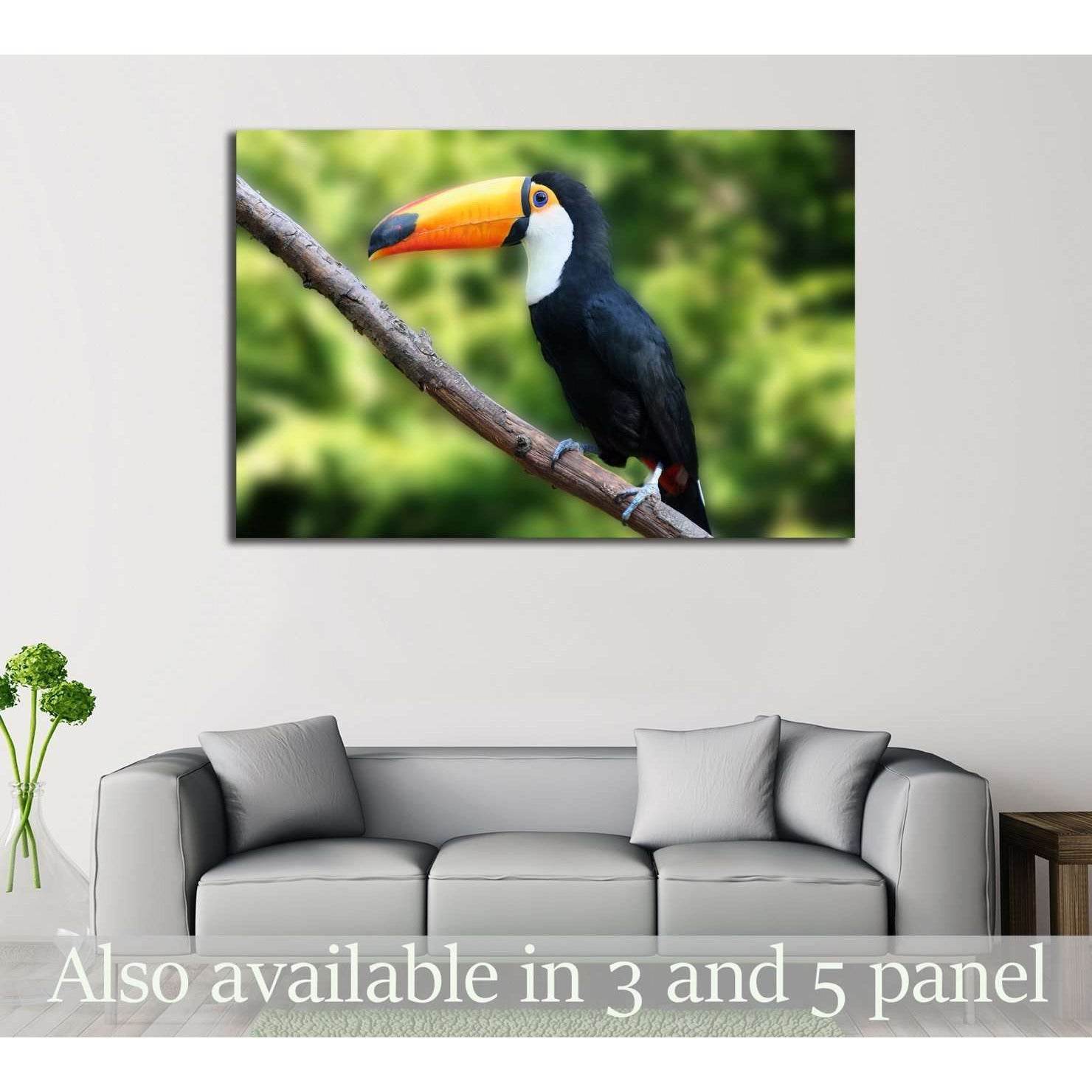 beautiful tucan, sitting on a branch №2788 Ready to Hang Canvas Print