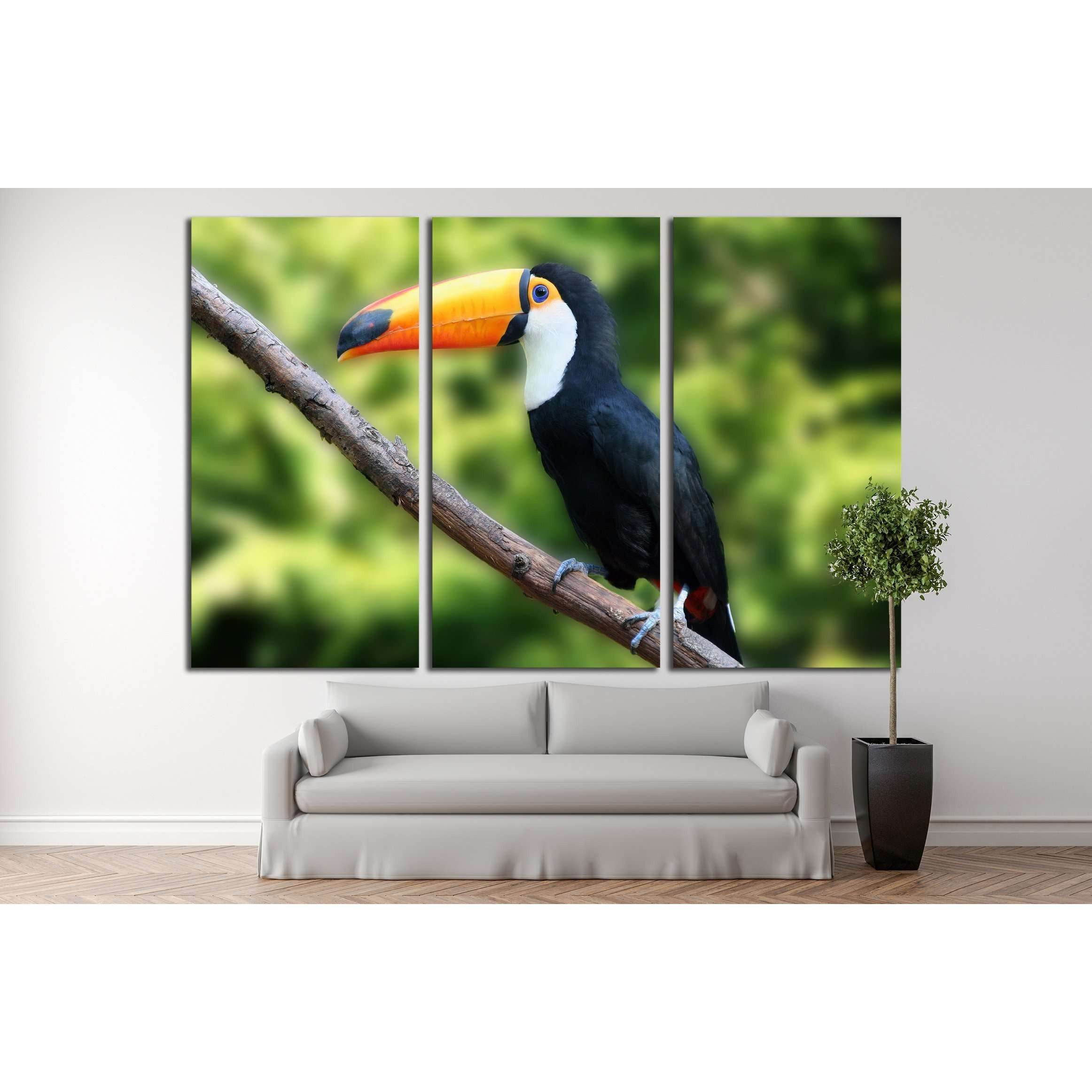 beautiful tucan, sitting on a branch №2788 Ready to Hang Canvas Print