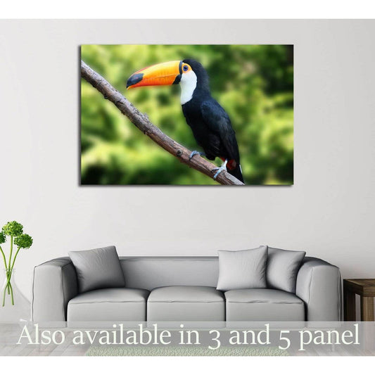 beautiful tucan, sitting on a branch №2788 Ready to Hang Canvas Print - Zellart Canvas Prints ALL_Products, s-2788