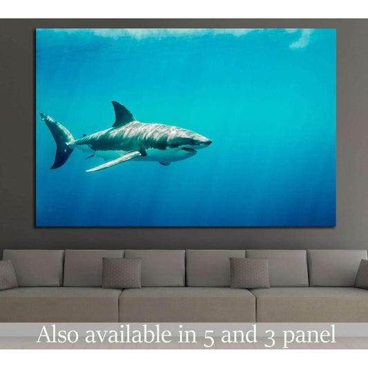 Big Shark №500 Ready to Hang Canvas PrintCanvas art arrives ready to hang, with hanging accessories included and no additional framing required. Every canvas print is hand-crafted, made on-demand at our workshop and expertly stretched around 100% North Am