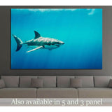 Big Shark №500 Ready to Hang Canvas Print