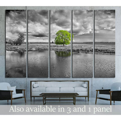 Color Pop Landscape: Modern Wall DecorThis striking canvas print features a solitary green tree amidst a monochrome landscape, a dramatic contrast that accentuates the tree's vitality. Perfect as wall decor, this artwork suits modern interiors seeking a t