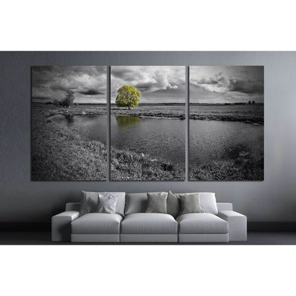 Lone Tree in Black & White Landscape Canvas Print - Modern Wall DecorThis canvas print presents a black and white image of a serene landscape, where a single tree stands out in vivid green against a monochromatic backdrop. The reflection on the water adds