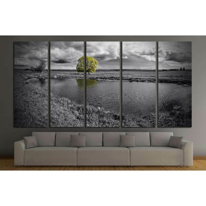 Lone Tree in Black & White Landscape Canvas Print - Modern Wall DecorThis canvas print presents a black and white image of a serene landscape, where a single tree stands out in vivid green against a monochromatic backdrop. The reflection on the water adds
