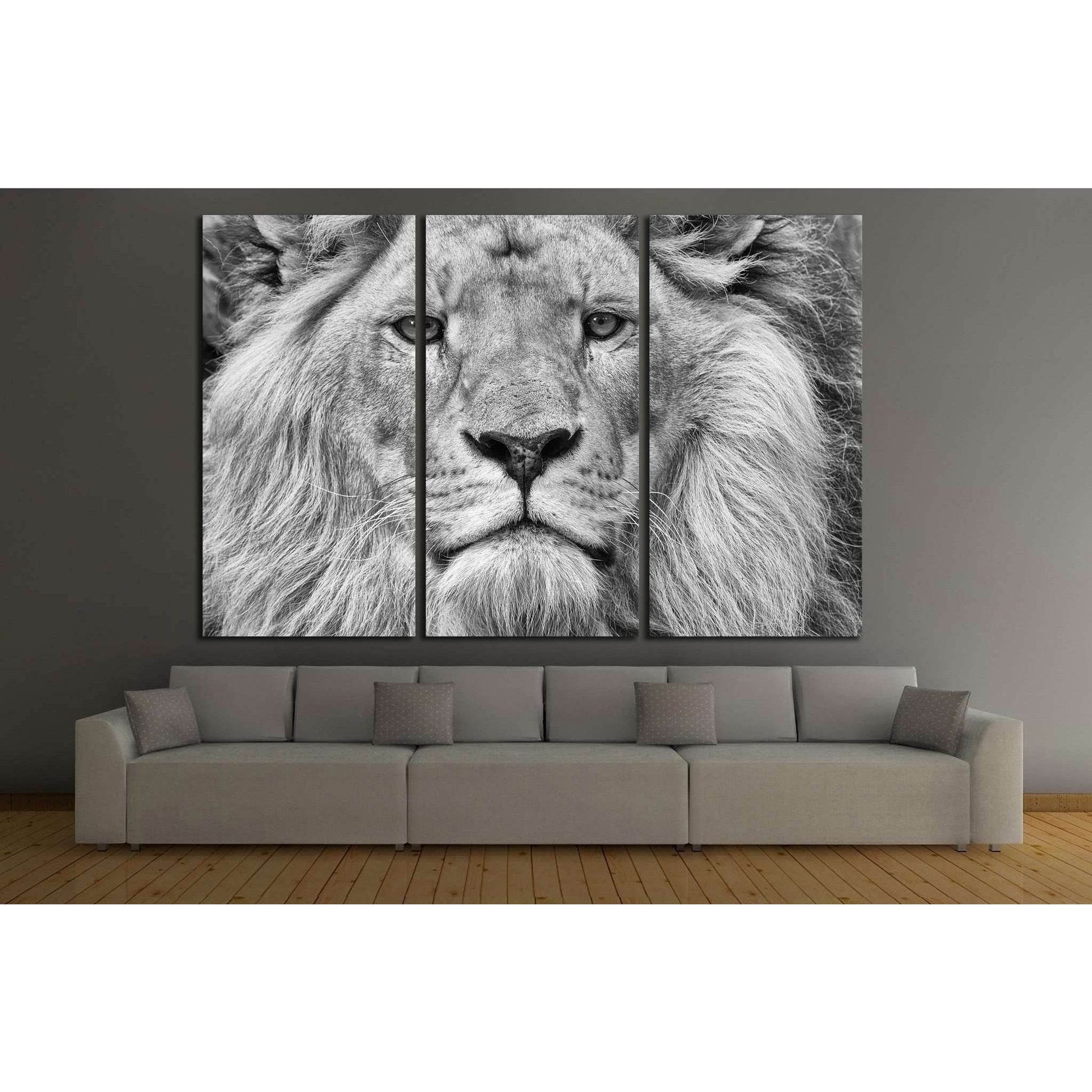 Black and White Lion №187 Ready to Hang Canvas Print - Zellart Canvas Prints ALL_Products, Lion, wd-187