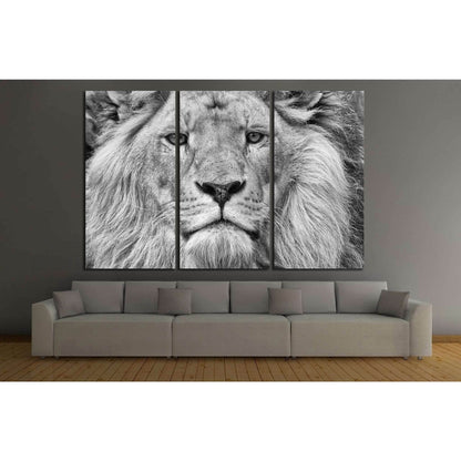 Black and White Lion №187 Ready to Hang Canvas Print - Zellart Canvas Prints ALL_Products, Lion, wd-187