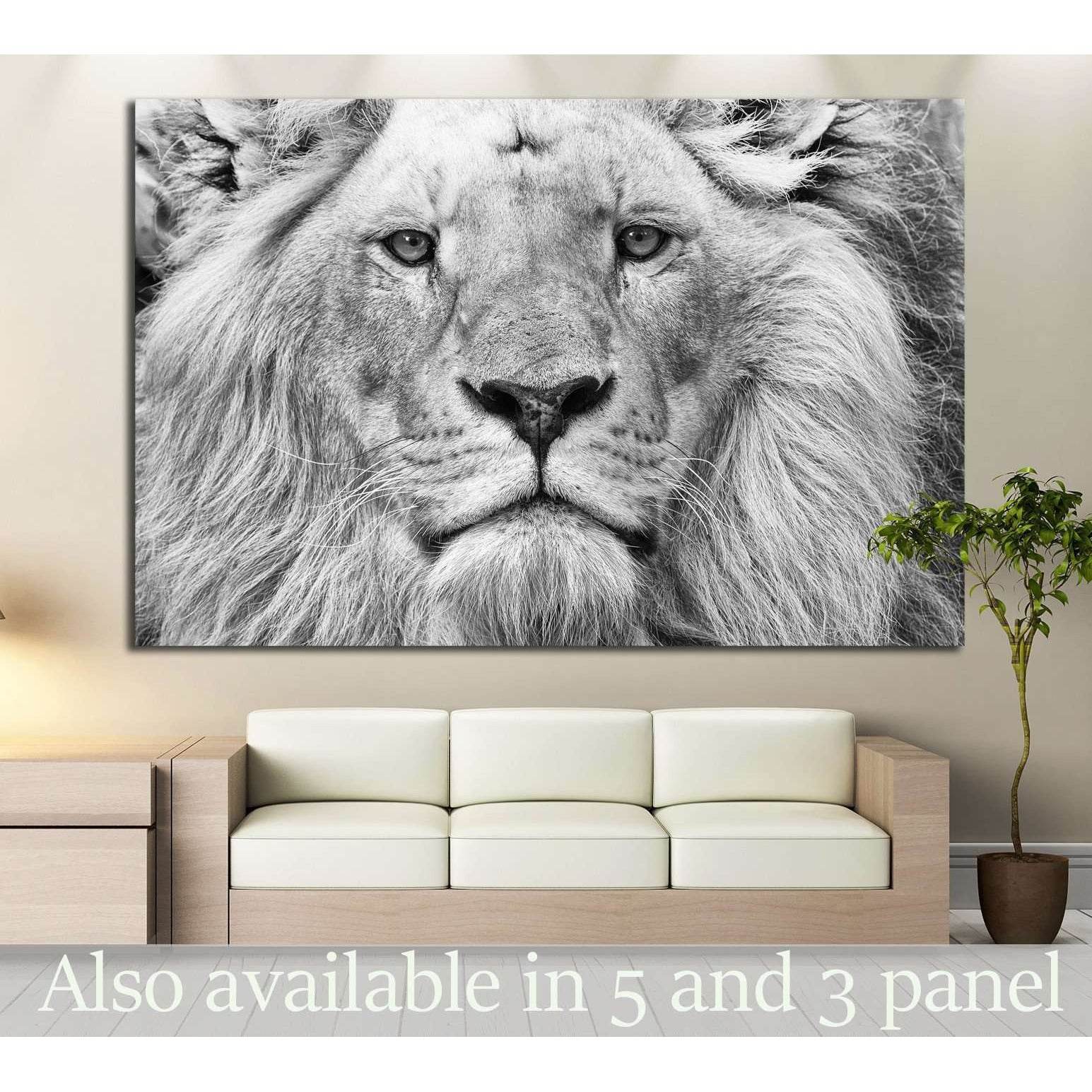 Black and White Lion №187 Ready to Hang Canvas Print - Zellart Canvas Prints ALL_Products, Lion, wd-187