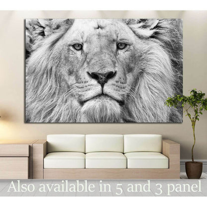 Black and White Lion №187 Ready to Hang Canvas Print - Zellart Canvas Prints ALL_Products, Lion, wd-187