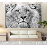 Black and White Lion №187 Ready to Hang Canvas Print
