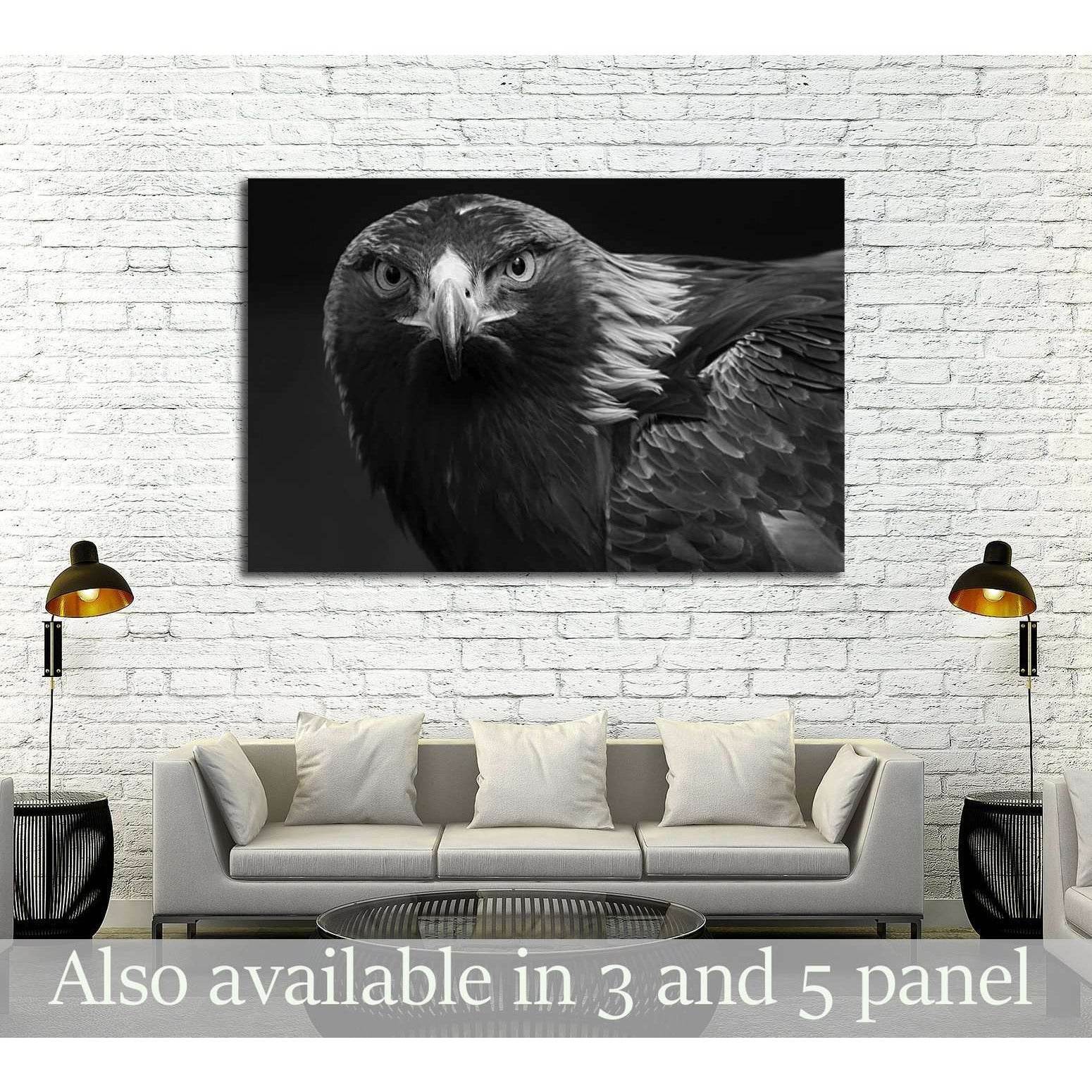 black and white photo of a golden eagle in captivity in a zoo №2794 Ready to Hang Canvas PrintCanvas art arrives ready to hang, with hanging accessories included and no additional framing required. Every canvas print is hand-crafted, made on-demand at our