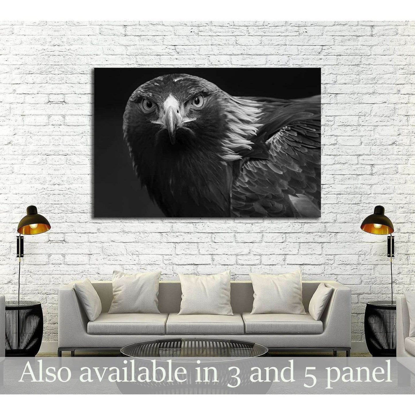 black and white photo of a golden eagle in captivity in a zoo №2794 Ready to Hang Canvas Print - Zellart Canvas Prints ALL_Products, s-2794