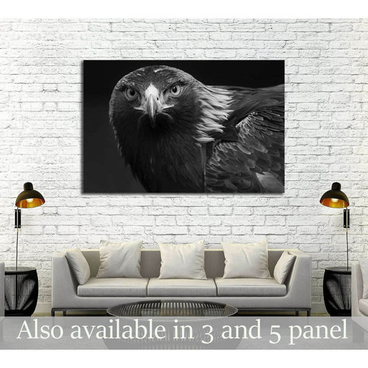 black and white photo of a golden eagle in captivity in a zoo №2794 Ready to Hang Canvas Print - Zellart Canvas Prints ALL_Products, s-2794
