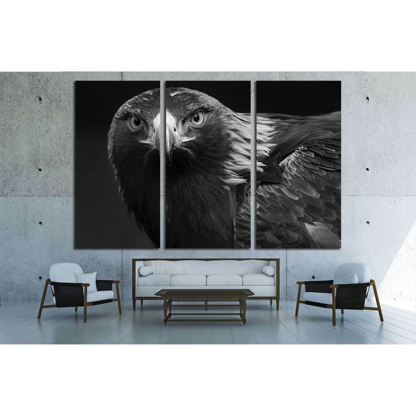 black and white photo of a golden eagle in captivity in a zoo №2794 Ready to Hang Canvas Print - Zellart Canvas Prints ALL_Products, s-2794