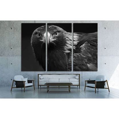 black and white photo of a golden eagle in captivity in a zoo №2794 Ready to Hang Canvas Print - Zellart Canvas Prints ALL_Products, s-2794