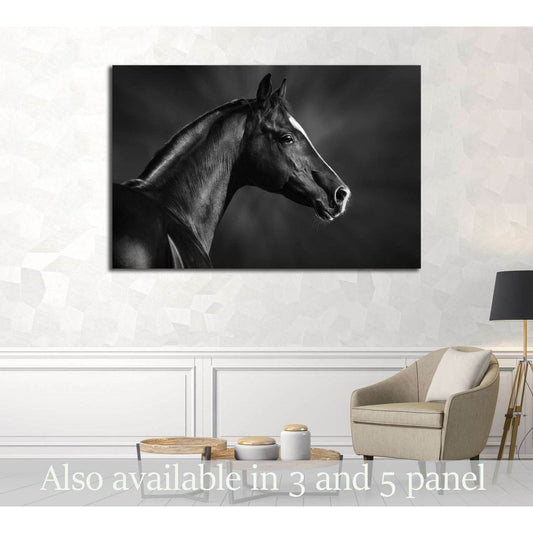 Black and white portrait of arabian horse №3259 Ready to Hang Canvas Print - Zellart Canvas Prints ALL_Products, Horses, s-3259