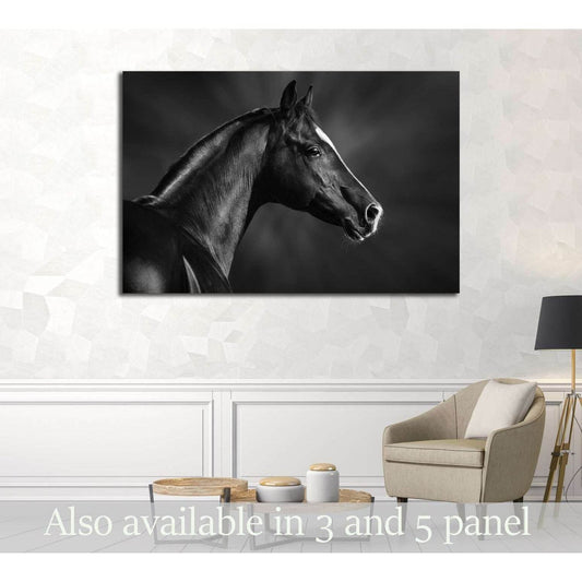 Black and white portrait of arabian horse №3259 Ready to Hang Canvas PrintCanvas art arrives ready to hang, with hanging accessories included and no additional framing required. Every canvas print is hand-crafted, made on-demand at our workshop and expert