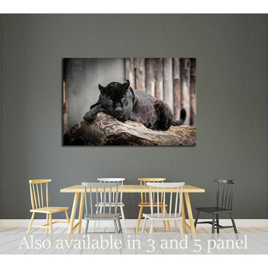 Black Panthera №2359 Ready to Hang Canvas Print - Zellart Canvas Prints ALL_Products, s-2359