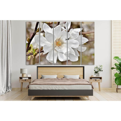 Blooming Magnolia №SL497 Ready to Hang Canvas Print - Zellart Canvas Prints 0new, ALL_Products, Trees Wall Art
