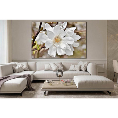Blooming Magnolia №SL497 Ready to Hang Canvas Print - Zellart Canvas Prints 0new, ALL_Products, Trees Wall Art