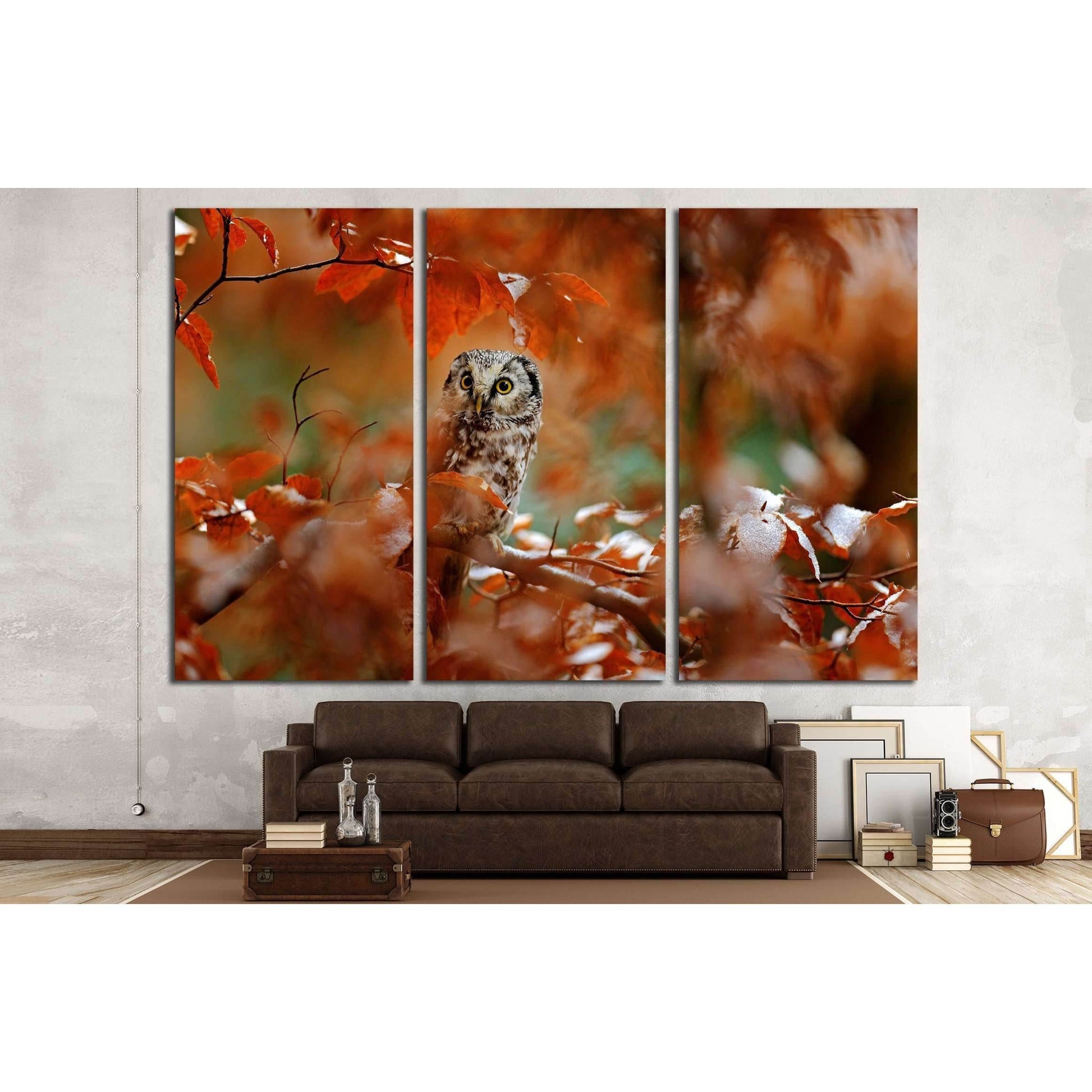 Boreal owl, Aegolius funereus, in the orange larch autumn forest in central Europe №2801 Ready to Hang Canvas Print - Zellart Canvas Prints ALL_Products, Owl, s-2801