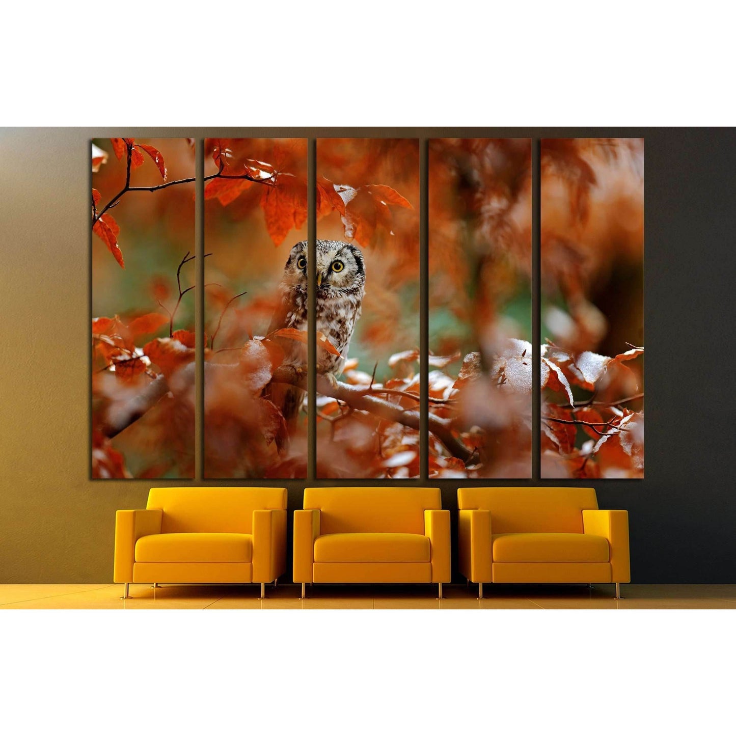 Boreal owl, Aegolius funereus, in the orange larch autumn forest in central Europe №2801 Ready to Hang Canvas Print - Zellart Canvas Prints ALL_Products, Owl, s-2801