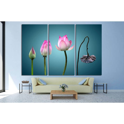 born to death in Buddhism №703 Ready to Hang Canvas Print - Zellart Canvas Prints ALL_Products, s-703