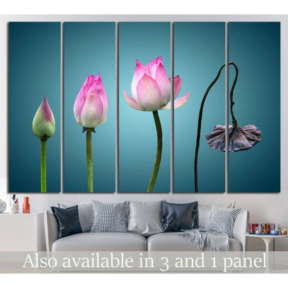 born to death in Buddhism №703 Ready to Hang Canvas Print - Zellart Canvas Prints ALL_Products, s-703