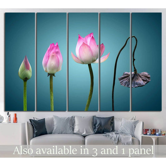 born to death in Buddhism №703 Ready to Hang Canvas Print - Zellart Canvas Prints ALL_Products, s-703