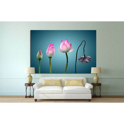 born to death in Buddhism №703 Ready to Hang Canvas Print - Zellart Canvas Prints ALL_Products, s-703