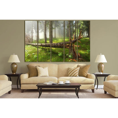 Broken Tree In The Forest №SL798 Ready to Hang Canvas Print - Zellart Canvas Prints 0new, ALL_Products, Trees Wall Art