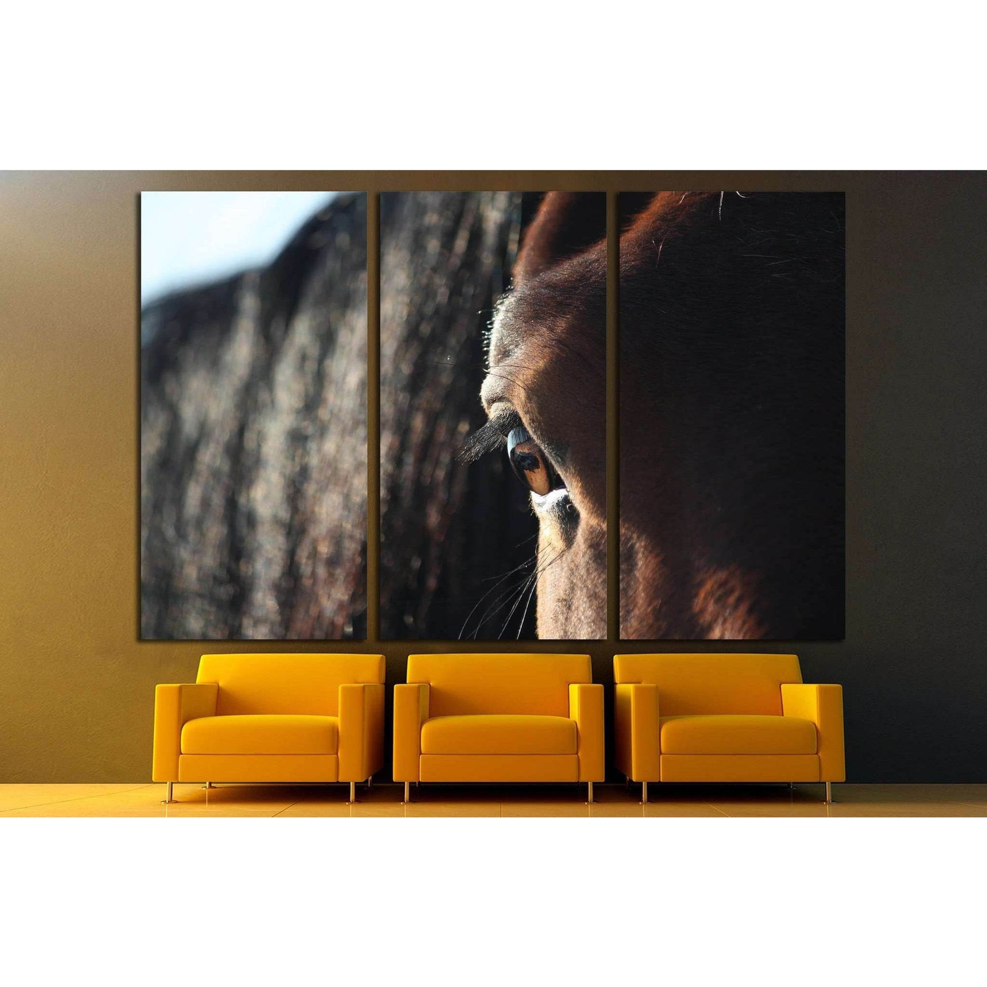 Brown horse eye close up №1841 Ready to Hang Canvas Print - Zellart Canvas Prints ALL_Products, Horses, s-1841