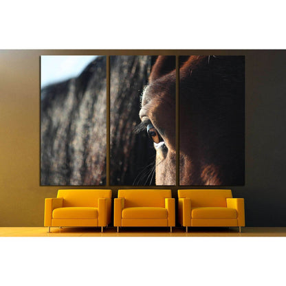 Brown horse eye close up №1841 Ready to Hang Canvas Print - Zellart Canvas Prints ALL_Products, Horses, s-1841