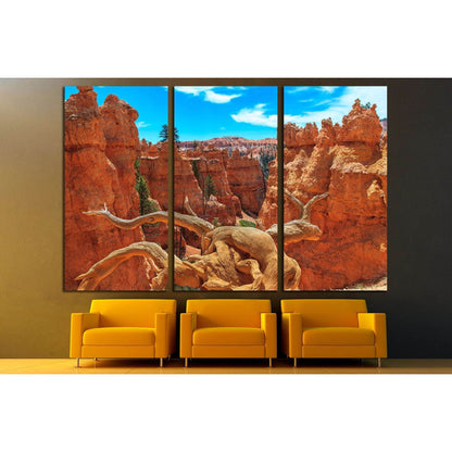 Bryce Canyon National Park №3192 Ready to Hang Canvas PrintCanvas art arrives ready to hang, with hanging accessories included and no additional framing required. Every canvas print is hand-crafted, made on-demand at our workshop and expertly stretched ar